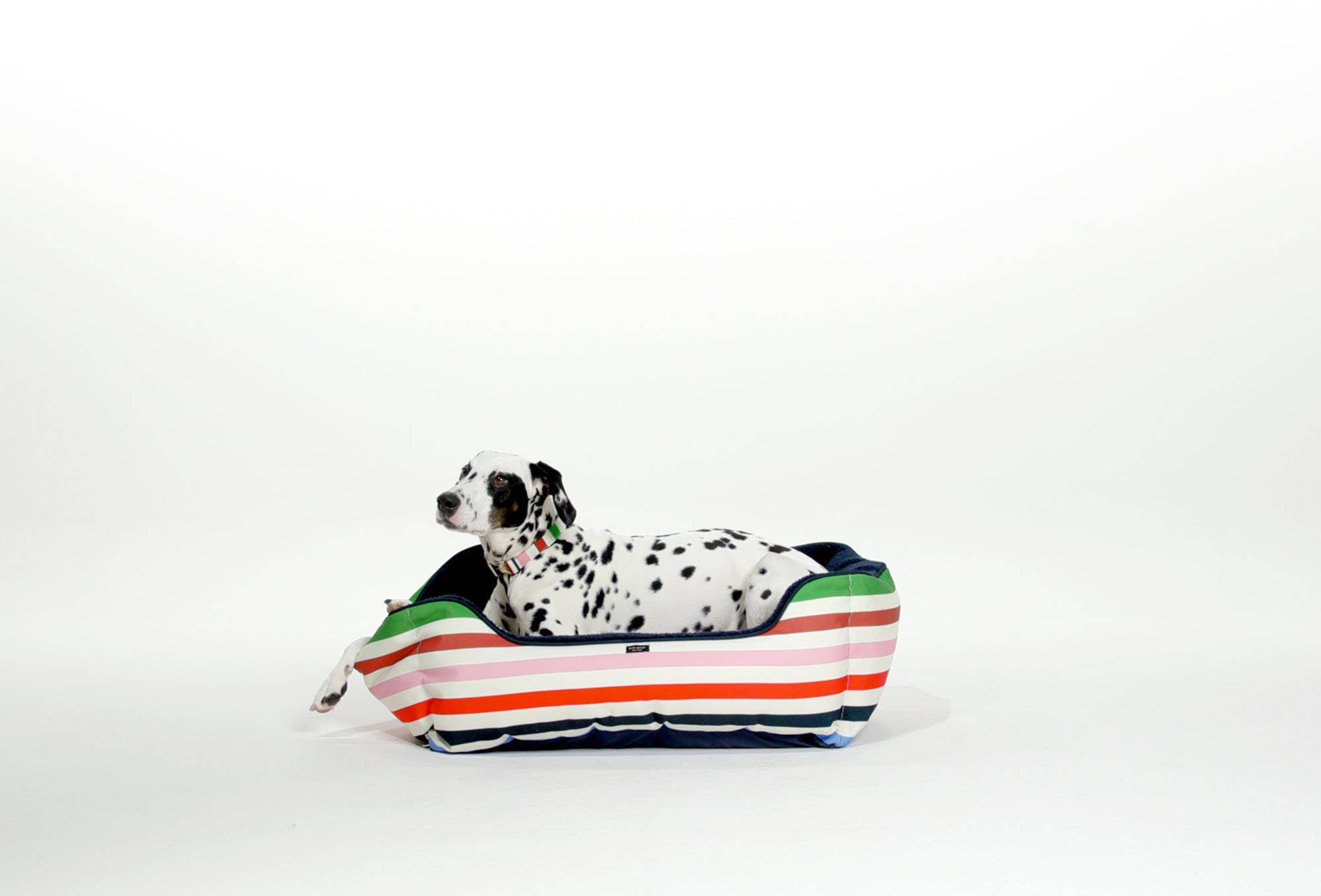 Kate Spade New York by Lifeguard Press - Wholesale Pet Bed - Cat/Dog - Pet Bed, Adventure Stripe3