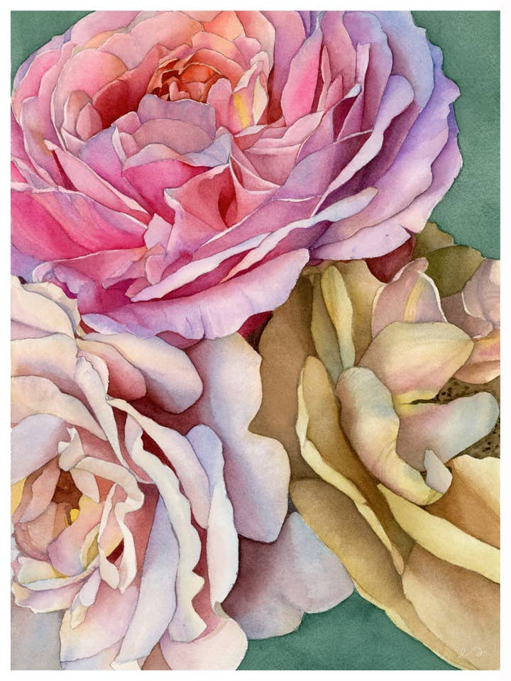 Peony and Rose Blooms Print – Watercolor Botanical Wall Art for wholesale by Art by Emma Lian