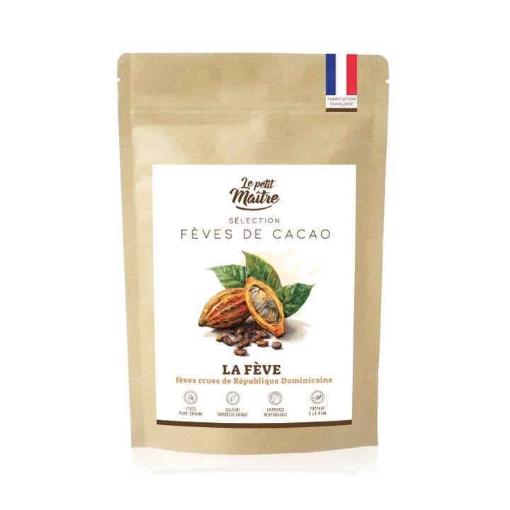 Organic raw cocoa beans from the Dominican Republic for wholesale by Le petit Maître