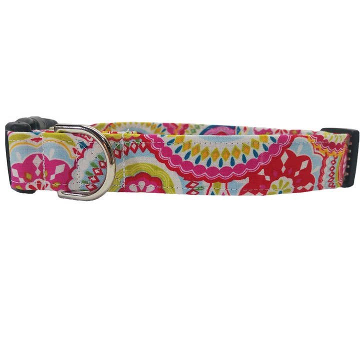 Kleurrijke medaillon gesp kraag voor wholesale door Buddy and Friends