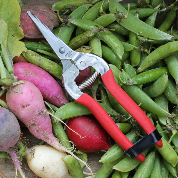 Womanswork - Wholesale Garden Tool - Garden Shears--Needle Nose