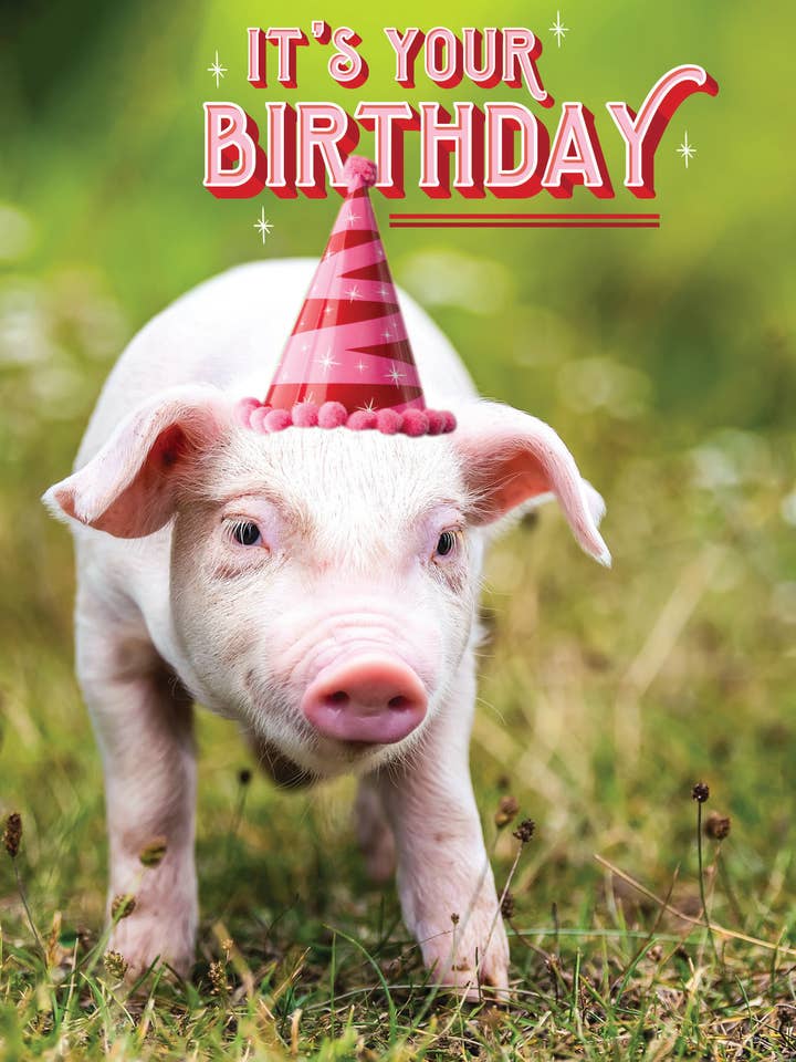 BD/Party Porcinet pour la vente par Greeting Cards by Norcard