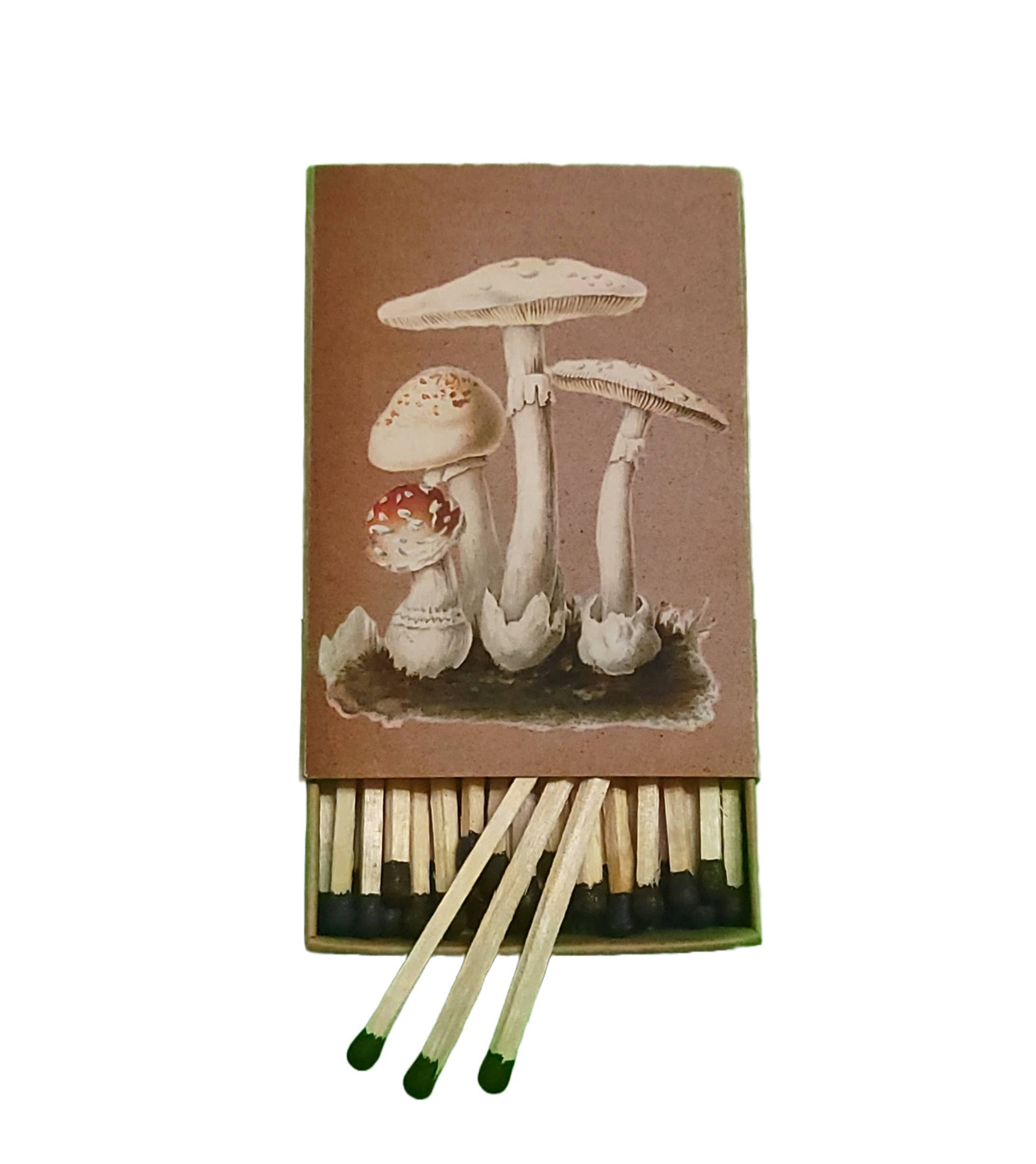Superior Dry Goods - Wholesale Matches - "Natural 'Shrooms!" Handmade Decorator Matchbox Lot2
