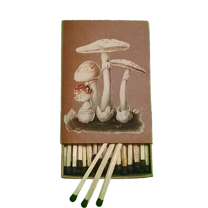 Superior Dry Goods - Wholesale Matches - "Natural 'Shrooms!" Handmade Decorator Matchbox Lot2