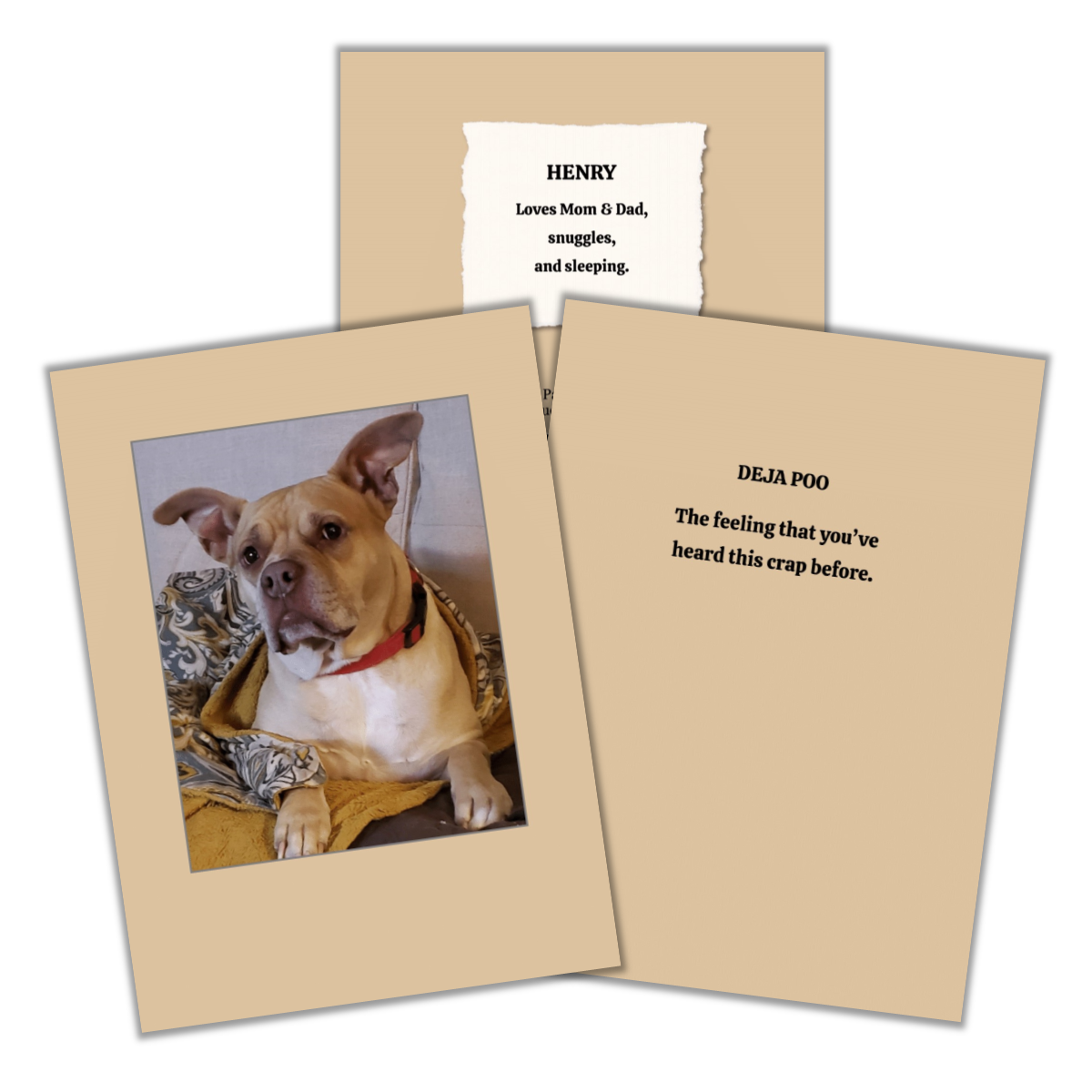 1216 Trading Company - Wholesale Everyday Greeting Card - Paw Talk Greeting Card - Just For Fun - 040034