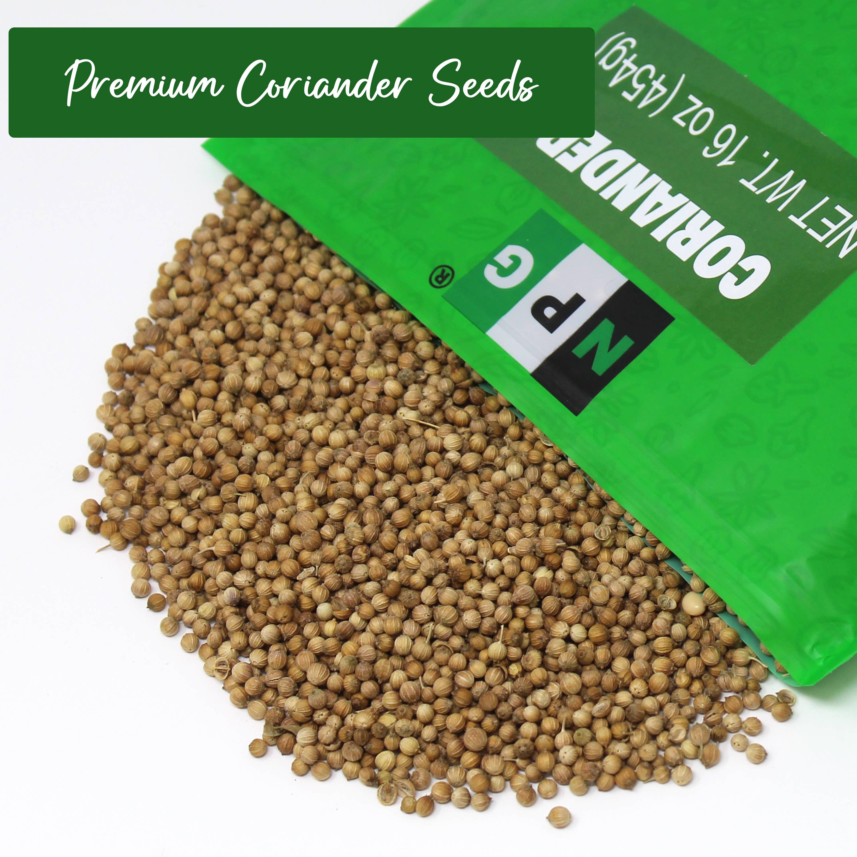 Natural Plus Green - Wholesale Dried Spice - NPG Coriander Seed 16 Oz, Whole Cilantro Seeds2