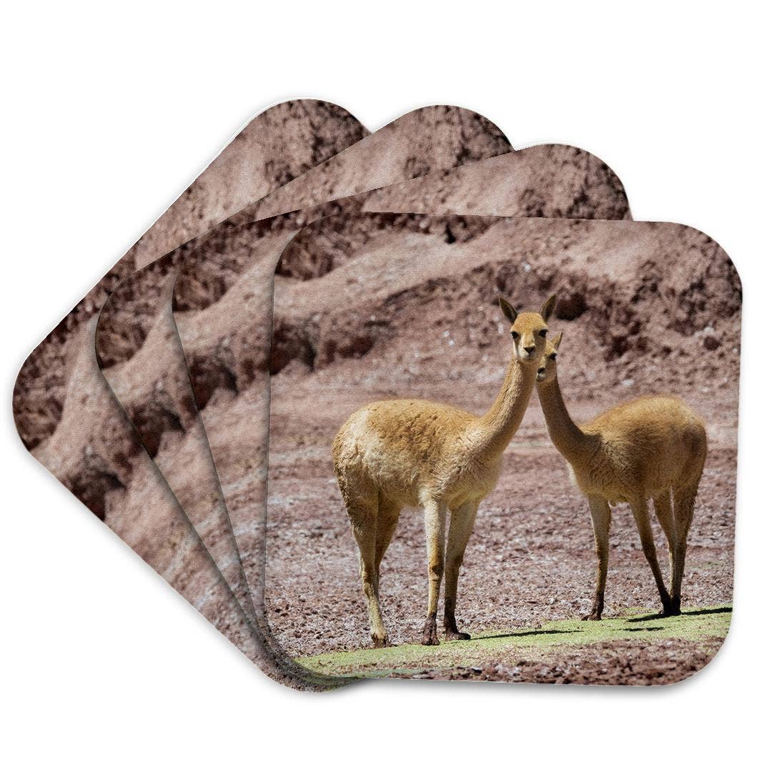 3dRose - Wholesale Coasters - 3dRose, Vicuna in the Altiplano of Argentina near Tolar Grande., Coaster7
