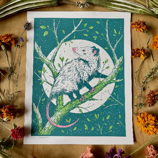 Logan Schmitt Illustration - Wholesale Art Print - Opossum2