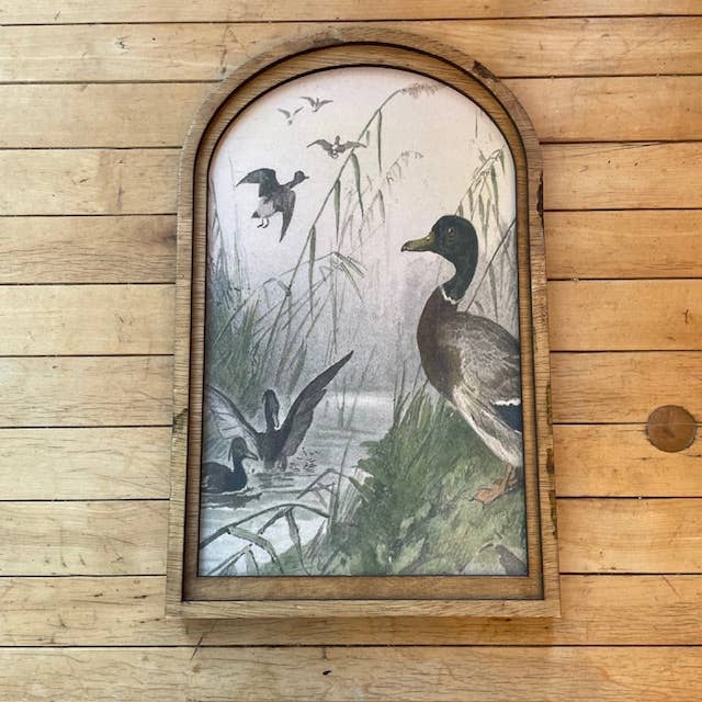 Ducks at Play Canvas Print Framed in Medium Arch for wholesale by LAND OF COTTON