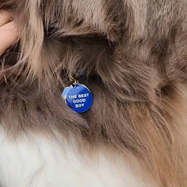 Freshwater Curated Goods - Vendita all'ingrosso Etichetta per collare - Cani e gatti - La migliore targhetta per animali domestici Good Boy4
