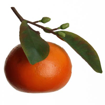 Floratexx - Wholesale Decorative Tabletop Object - Mandarin 60 mm, with orange leaf