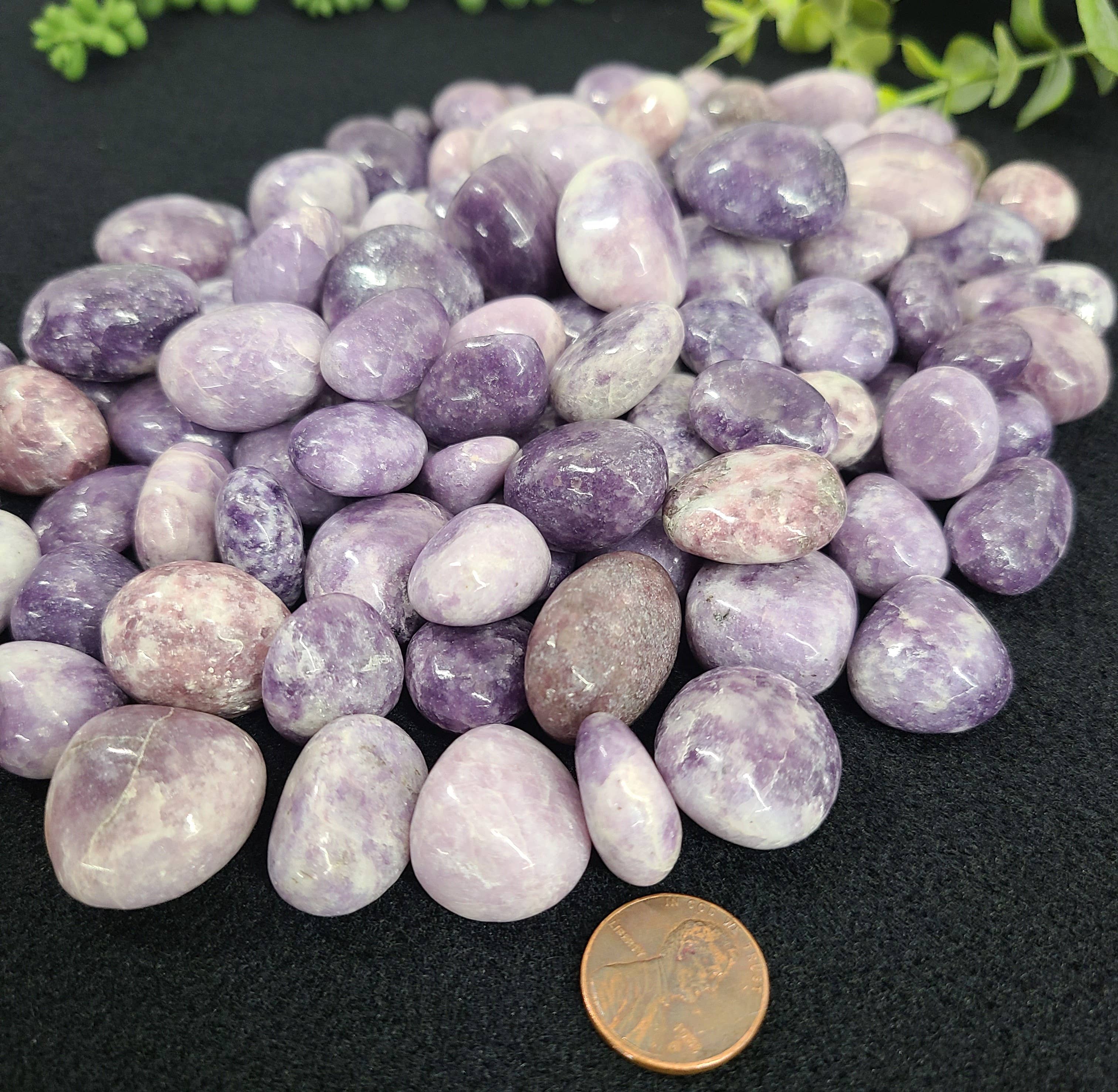 Meraki Gemstones - Wholesale Spiritual stone/crystal - Lepidolite Tumbled Stones (0.5kg/1.1lbs)  20-25mm1
