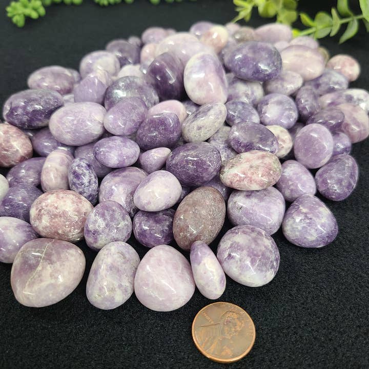 Meraki Gemstones - Wholesale Spiritual Stone/Crystal - Lepidolite Tumbled Stones (0.5kg/1.1lbs) 20-25mm1