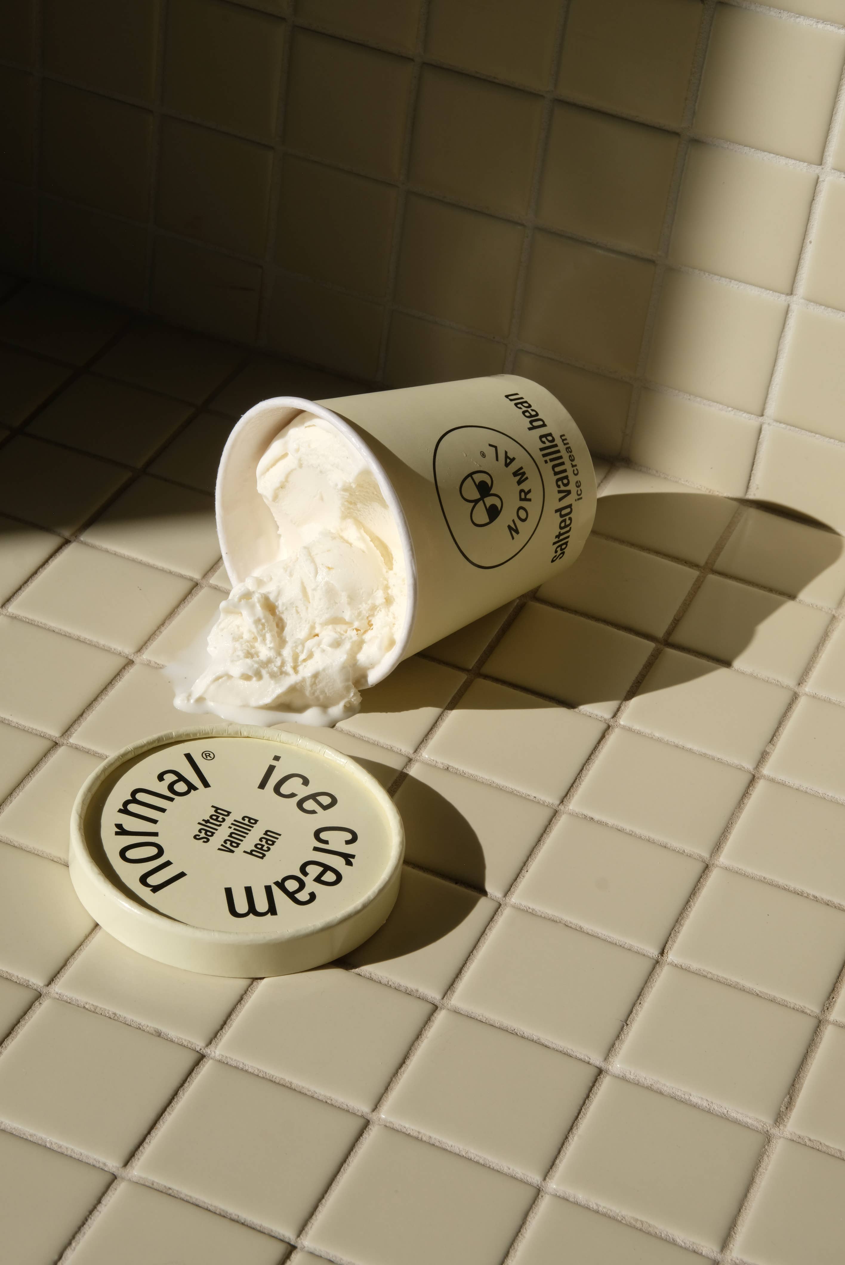 normal® ice cream - Wholesale Ice Cream/Sorbet - salted vanilla bean ice cream2