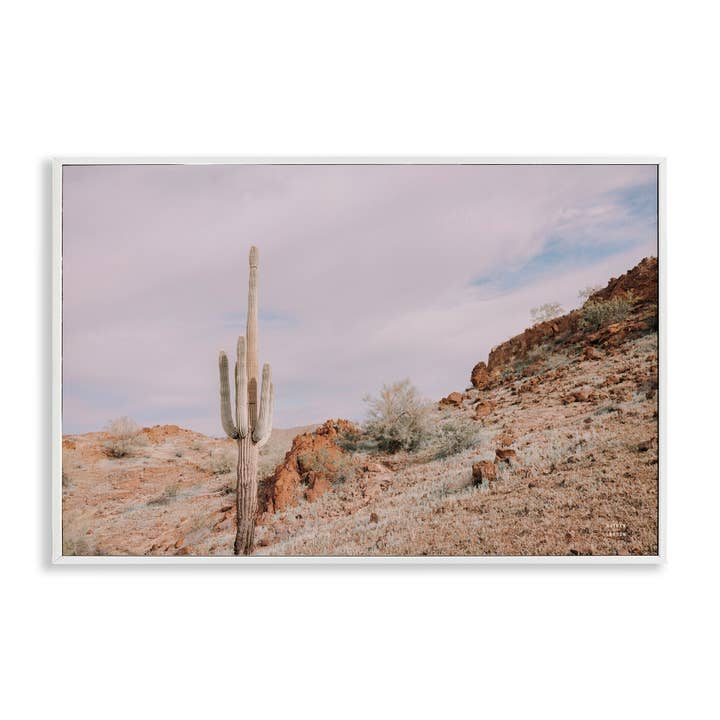 Stupell Industries - Wholesale Wall Decor - Kids & Baby - The Climb Desertscape Framed Art23
