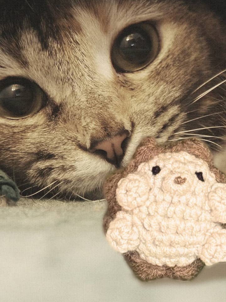 Handgemaakt Kattenkruid Speeltje | Harold de Egel – Een Chunkle Puff Doordrenkt met Miracle Nip Botanicals voor wholesale door Minou Le-Mew