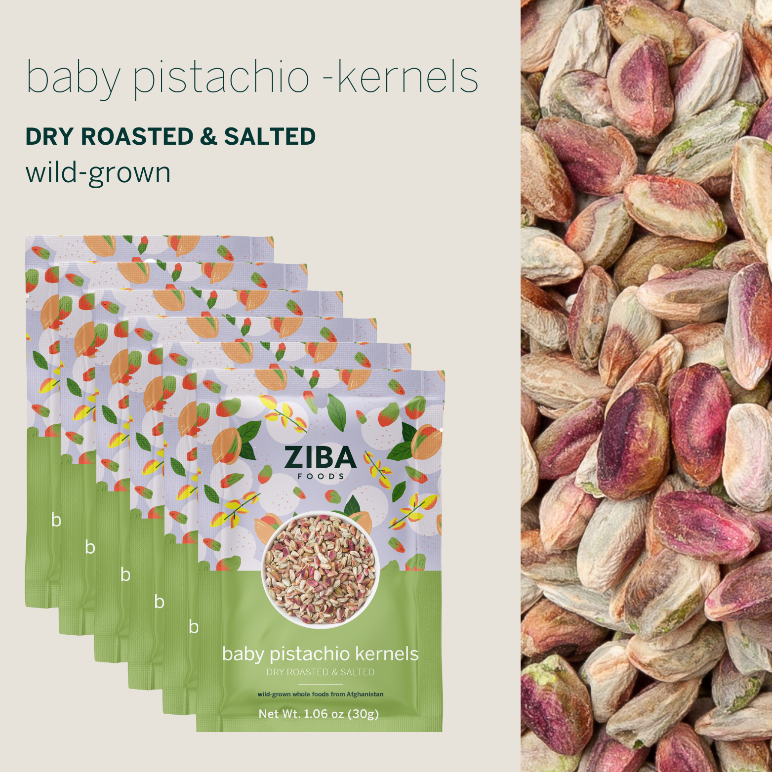 Ziba Foods – wholesale Nötter – Baby pistaschkärnor (torrrostade och saltade) Vegan 1 oz1