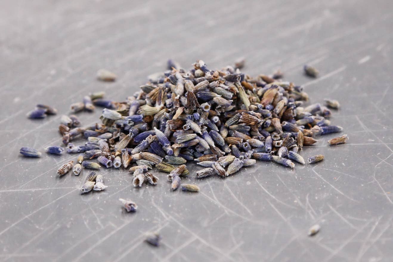 Spicewalla - Wholesale Dried Spice - Lavender Flowers3