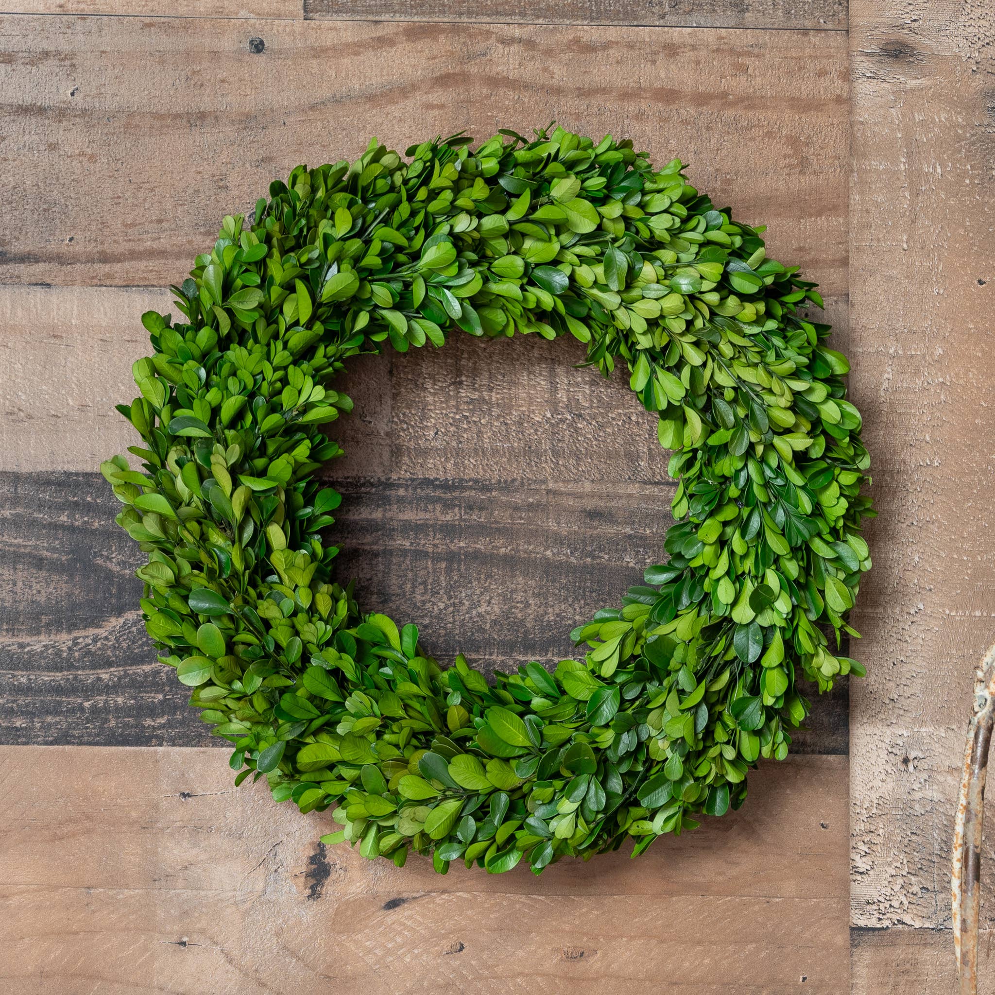 Mills Floral Company – wholesale Wreath – Preserved Boxwood Country Manor Wreath - Round - 14 Inch1