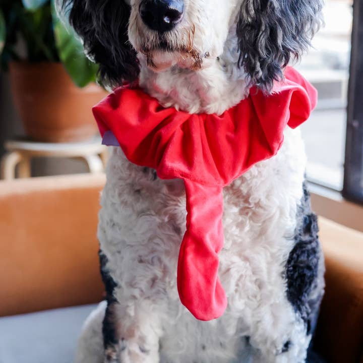 Midlee Designs – wholesale Dräkt - Hund – Midlee Turkiet Skägg & Svans Tacksägelse Kostym7