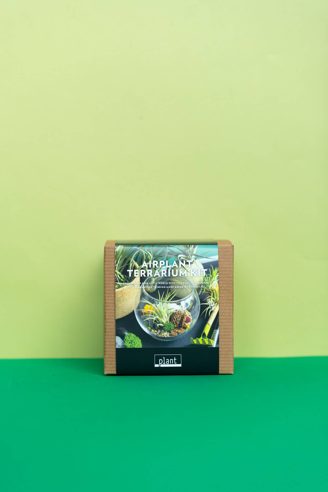 Plant Shop - Wholesale Terrarium - New* Airplant Terrarium Kit : Globe