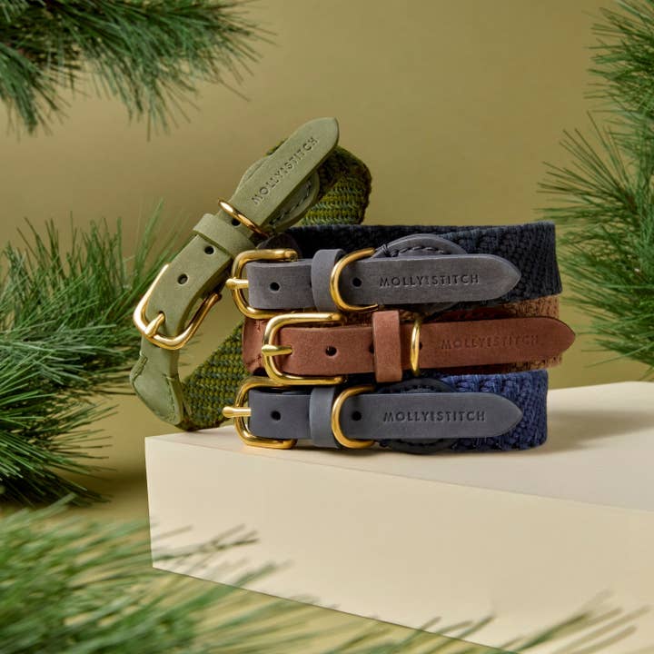 Molly and Stitch - Wholesale Pet Collar - Dog - Patagonia Dog Collar - Moss4
