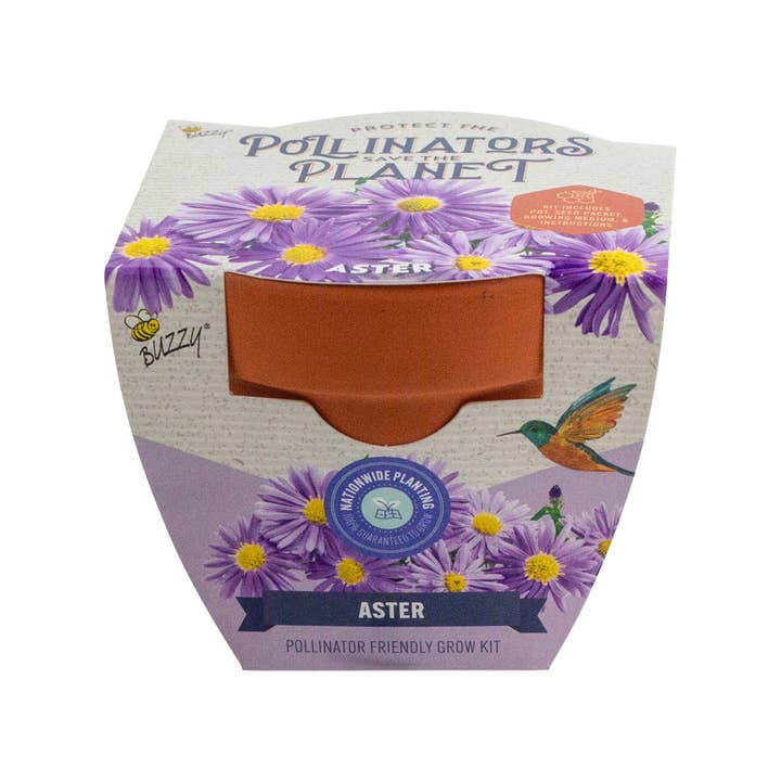 Black-Eyed Susan Pollinator Classic Terra Cotta Black-Eyed Susan Pollinator Classic Terra Cotta