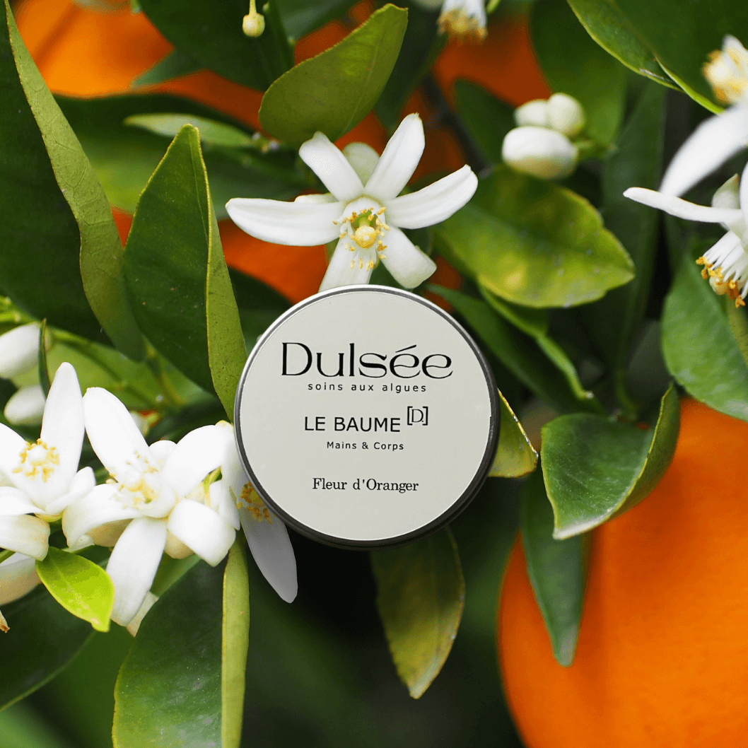 Dulsée - Wholesale Hand & Body Lotion - The Hands & Body Balm - Orange Blossom1