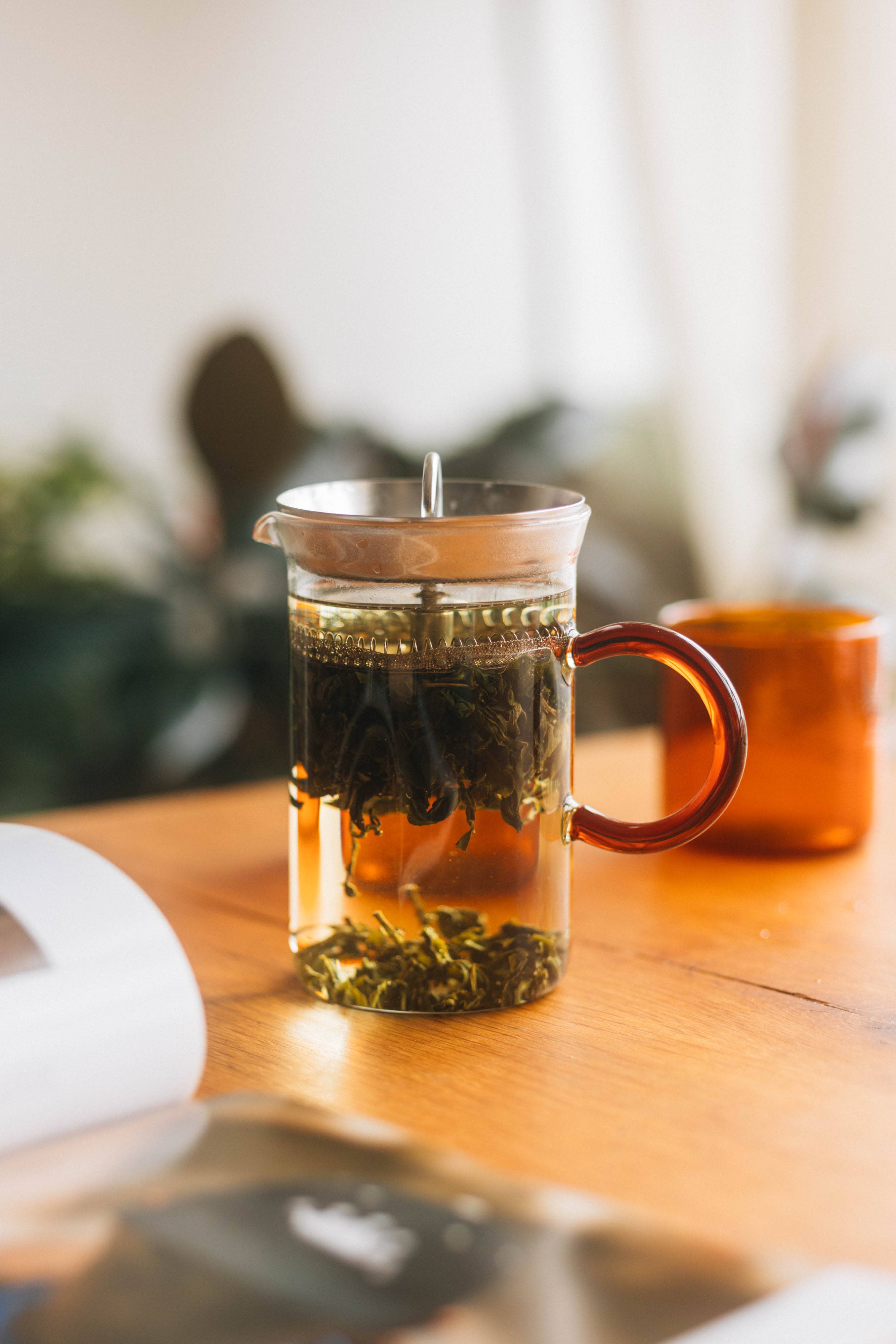 Manual - Wholesale French Press - Tea & Coffee Press2