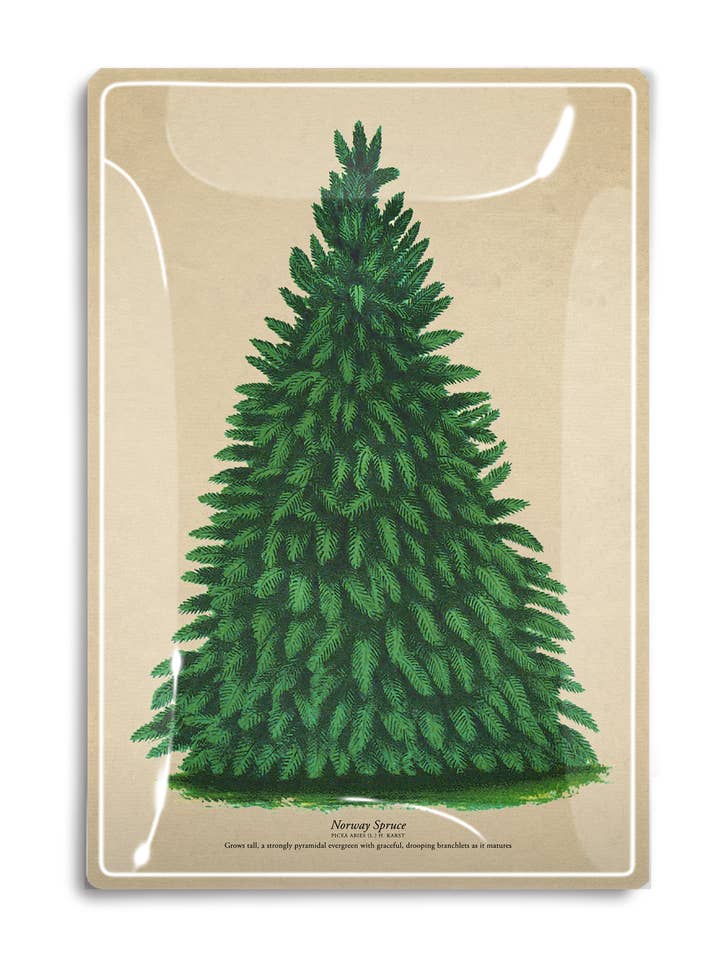 Vintage Norway Spruce Decoupage Tray for wholesale by Ben's Garden