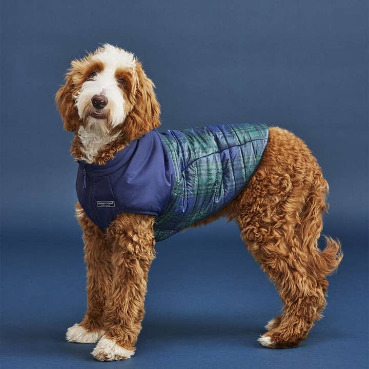 Found My Animal - Wholesale Pet Jacket - Dog - Vineyard Vines X Fma Pet Puffer Jacket, Blackwatch Nautical