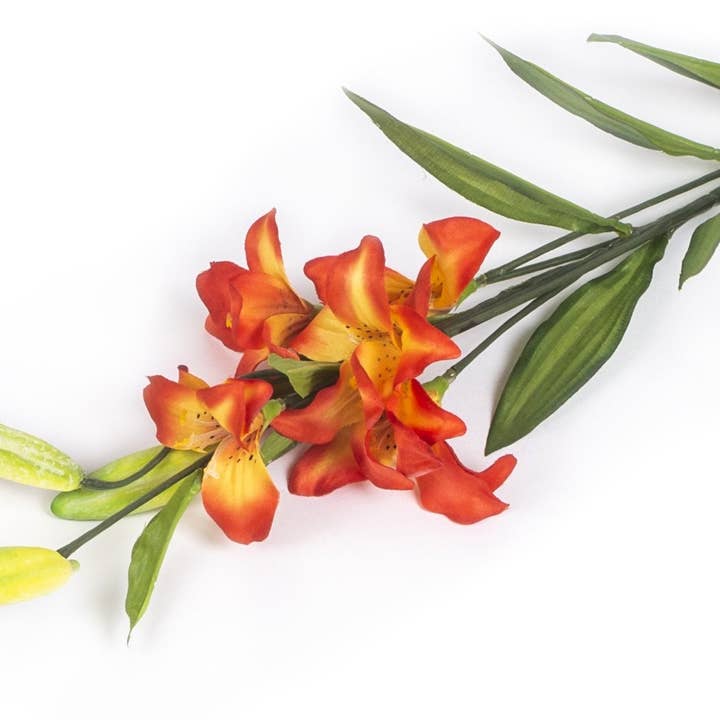 Closer2Nature – Engroshandel Kunstige blomster – Kunstig 75 cm enkelt stilk rød asiatisk lilje3