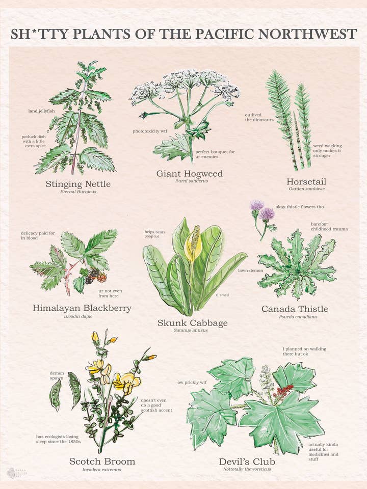 Sh*tty Plants Pacific Northwest/Botanical Vintage Poster for wholesale by Sarah Keller Art