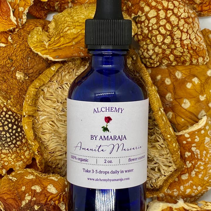 Alchemy by Amaraja - Wholesale Essential Oil - Amanita Muscaria Essence 2oz