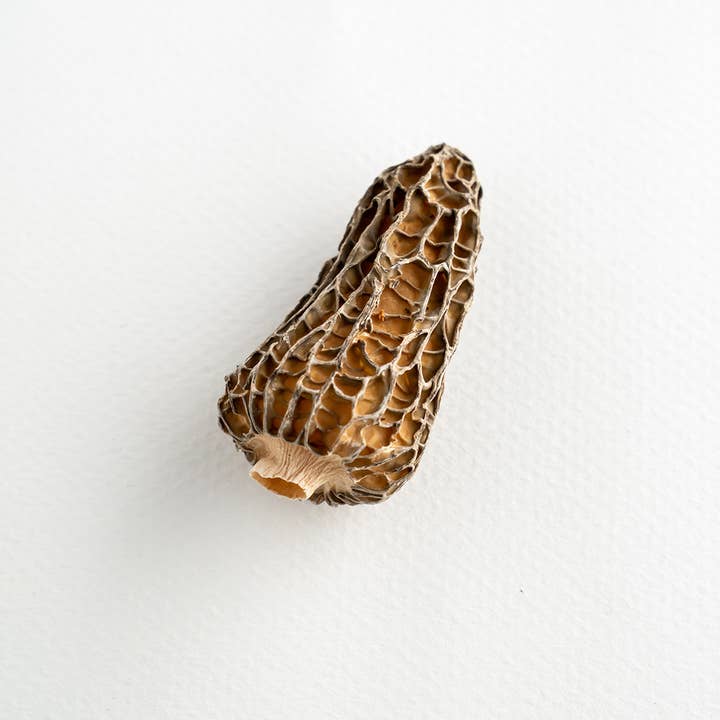 Superstories - Wholesale Chips - Morel - Supersec2