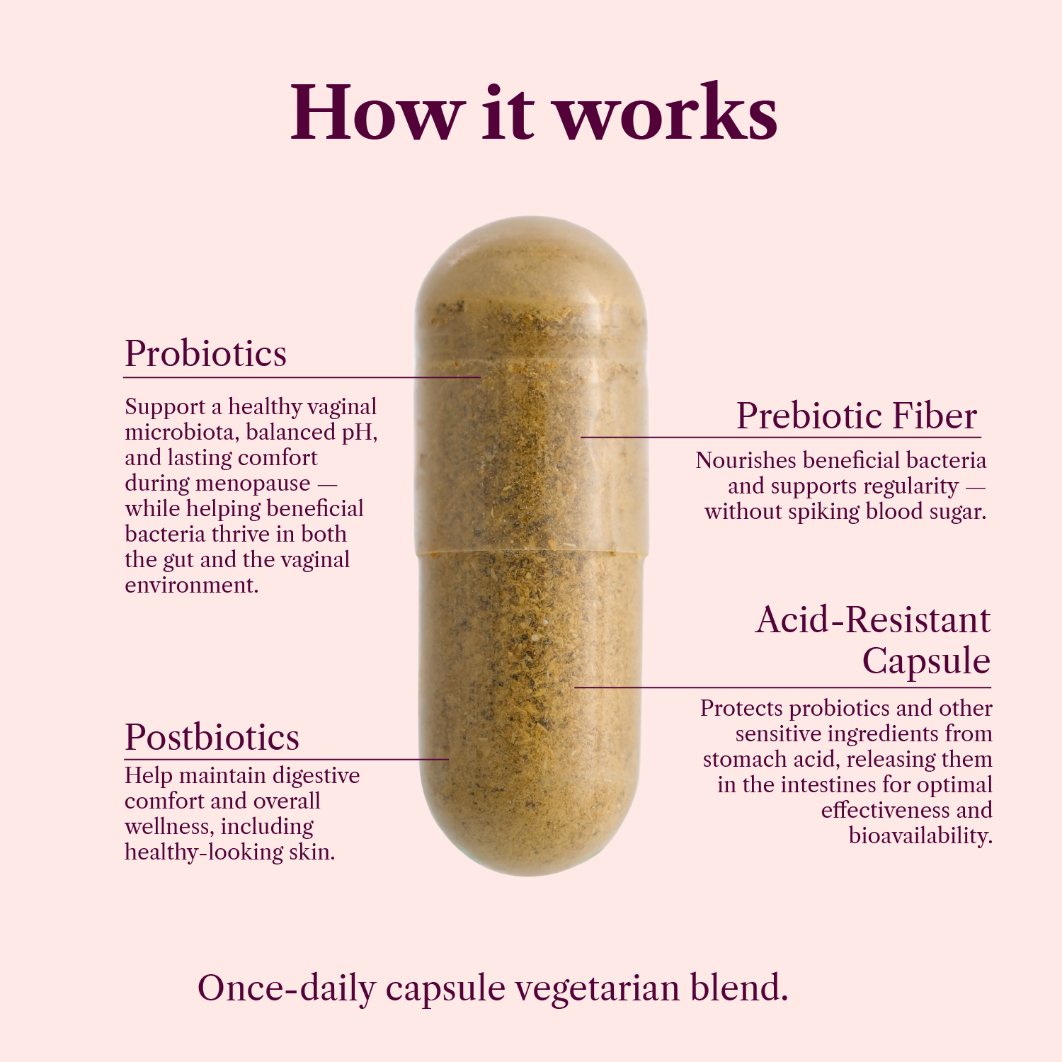 SEASON34 - Wholesale Oral Supplement/Vitamin - Menopause Microbiome Foundation – Vaginal Balance, pH & Odor3