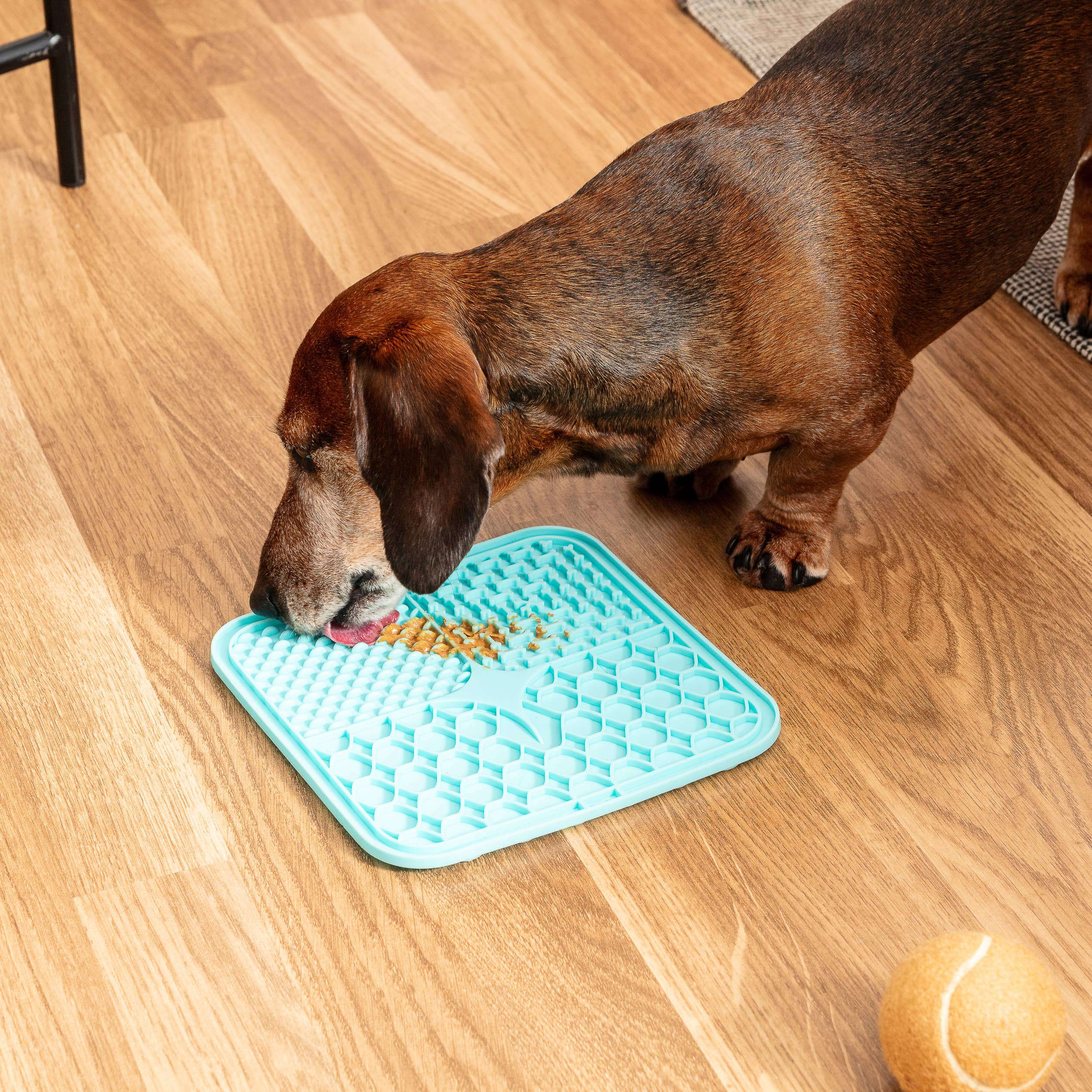 Park Life Designs – wholesale Pet food mat – Dog – Calming Lick Mat20