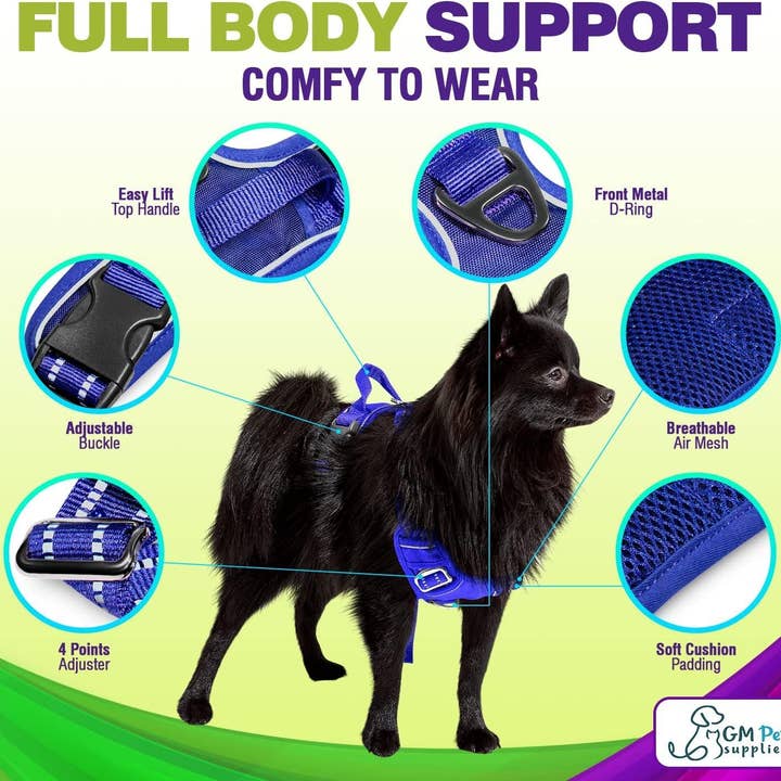 Katziela - Wholesale Pet Harness - Dog - Dog Harness Walking kit and Leash Set4