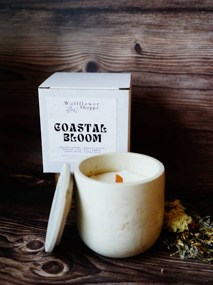 Candela in Cemento Coastal Bloom per la vendita all'ingrosso da parte di The Wallflower Shoppe