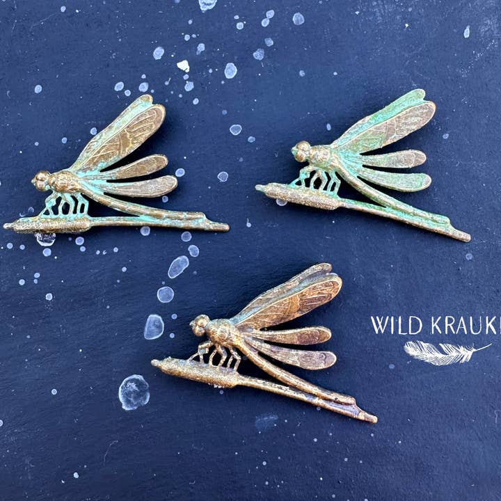 Dragonfly Brass Brooch – Handmade Insect Pin for wholesale by Wild Kraukle