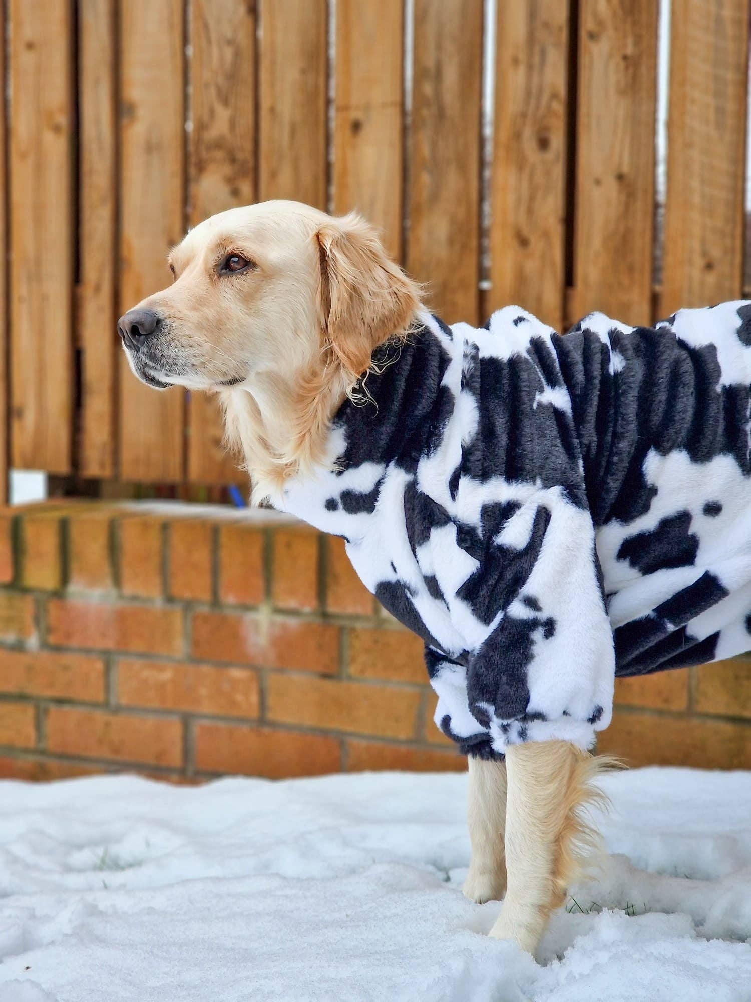 The Paw Print Boutique - Wholesale Pet Coat - Dog - The Cow Print Fluffy & Fabulous Fleece9