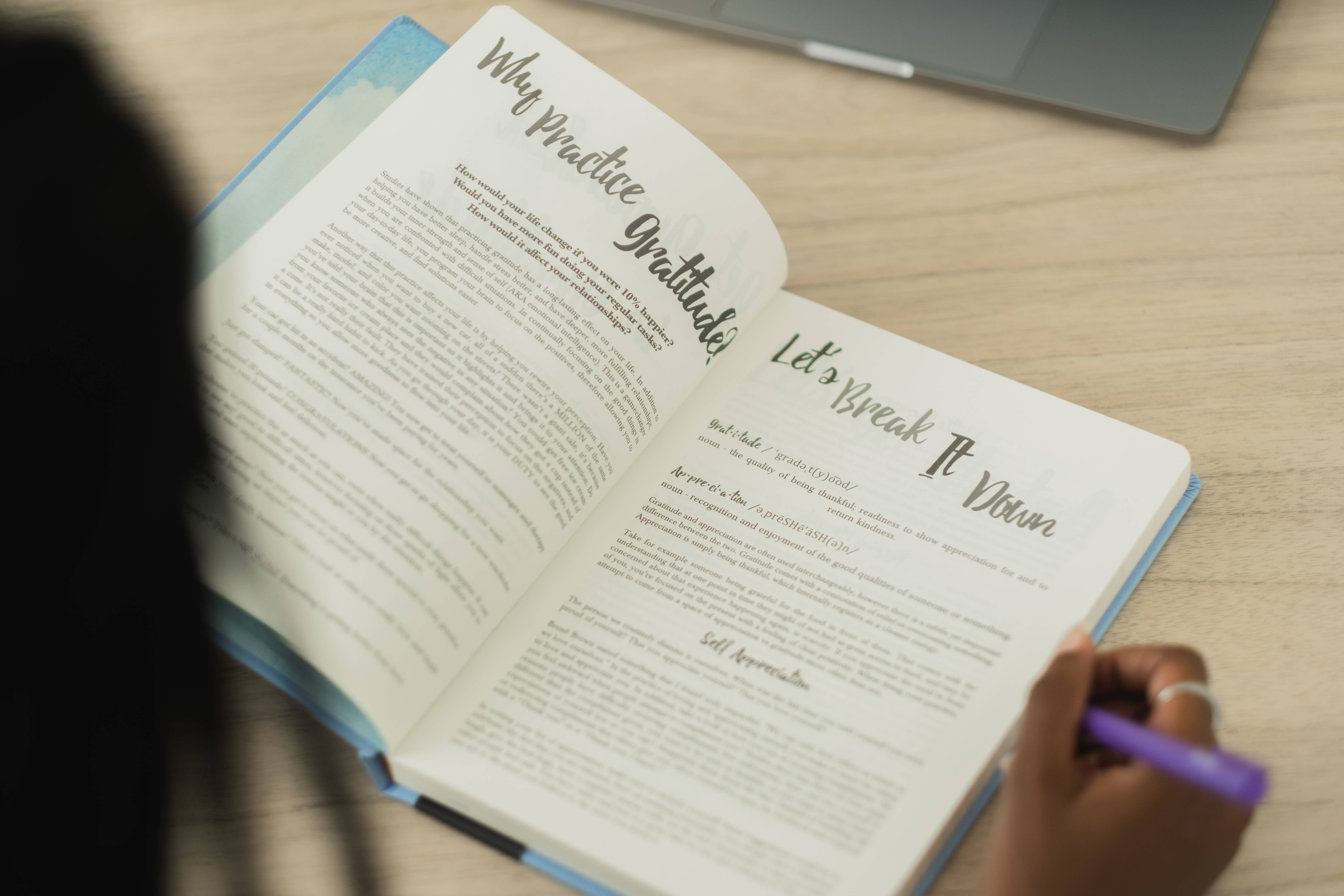 PleaseNotes Goods - Affirmation-Filled Goods - Wholesale Journal/Diary - The Guided Gratitude Journal for Stress Relief4