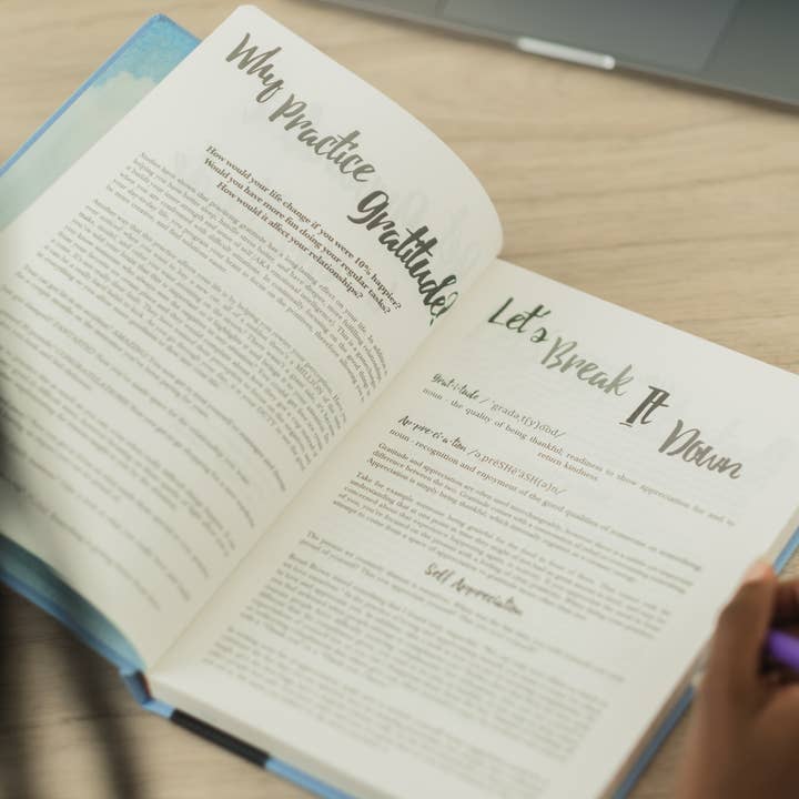 PleaseNotes Goods - Affirmation-Filled Goods - Wholesale Journal/Diary - The Guided Gratitude Journal for Stress Relief4