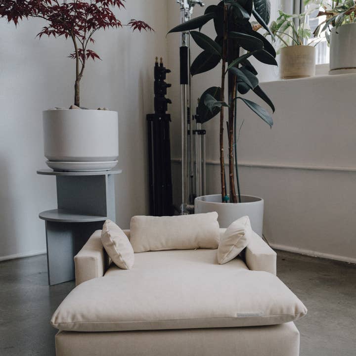 WHISKERHAUS LLC - Wholesale Pet bed – Cat/dog - WHISKERHAUS Premium Modern Luxury Cat and Dog Bed - LUXE2