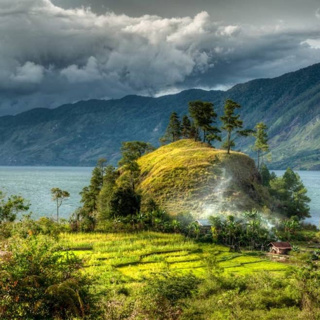 Indonesië Sumatra Mandheling G1 TP voor wholesale door Arise & Grind Coffee