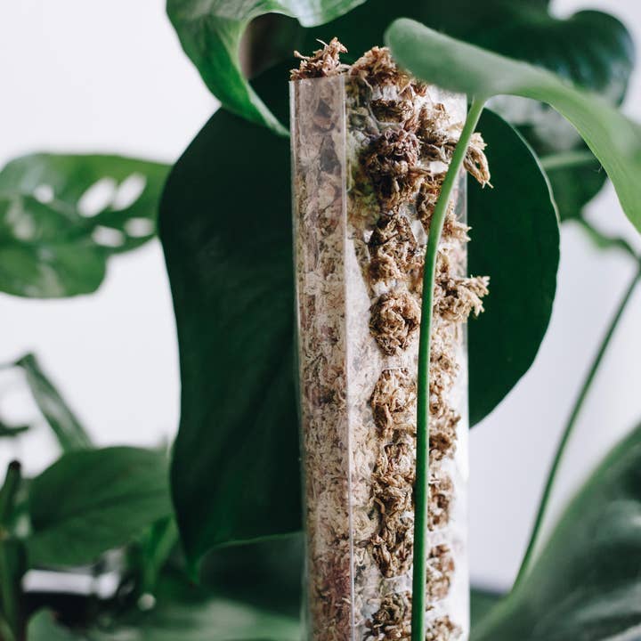 PlantScraper - Wholesale Trellis - Extendable D Shaped Moss Pole for Climbing Houseplants2