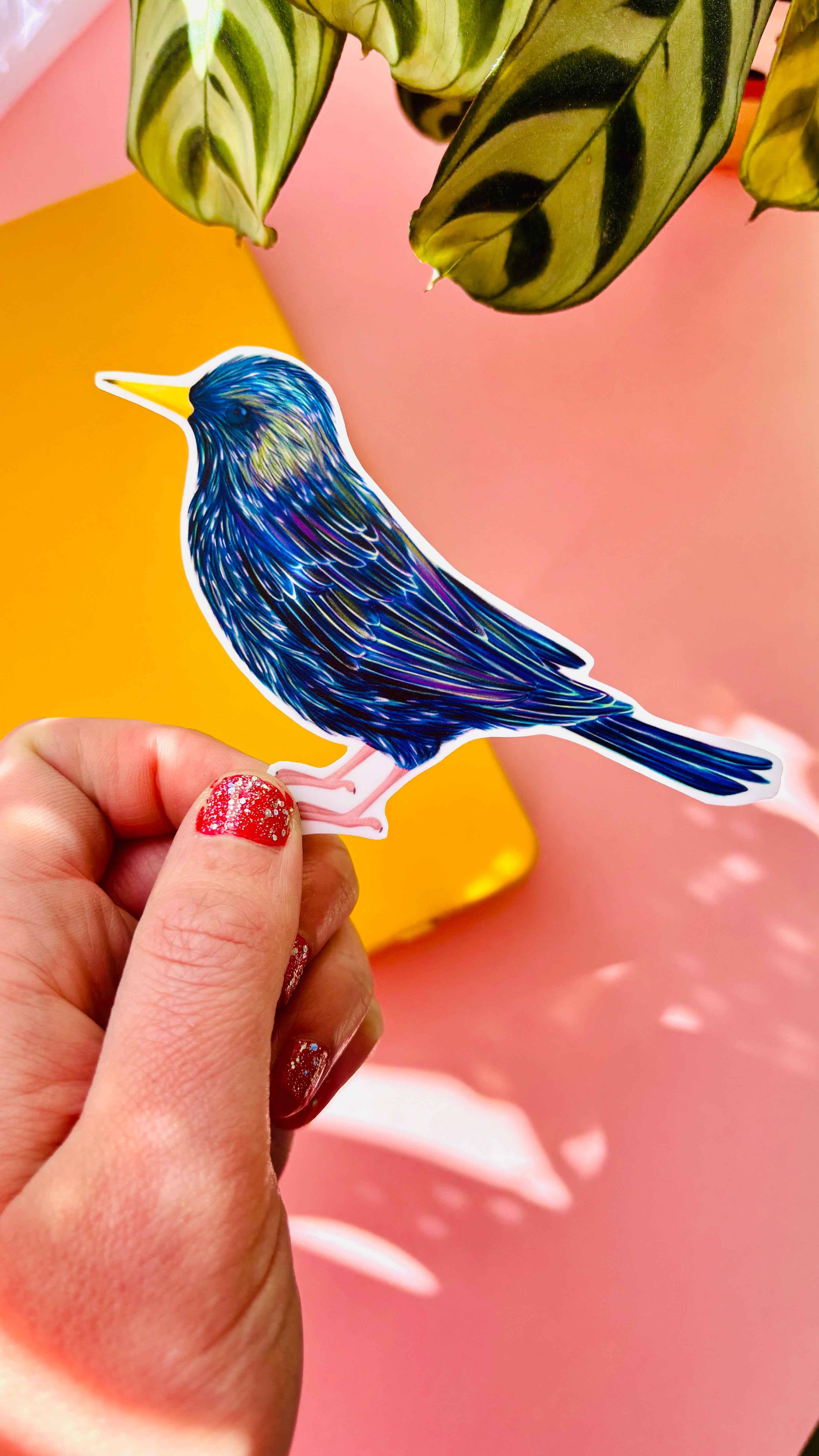 Pixiecraft - Wholesale Sticker - Garden Birds 10cm Vinyl Stickers: Nature Inspired Waterproof Decals6