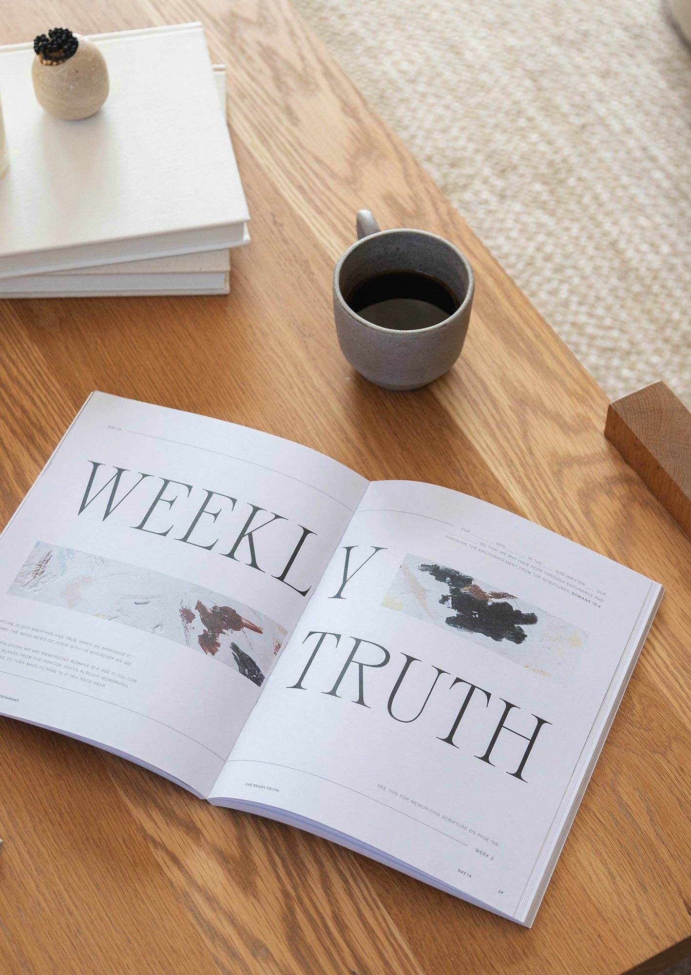 She Reads Truth - Wholesale Religion Book - People in the New Testament Women's Reading Guide3