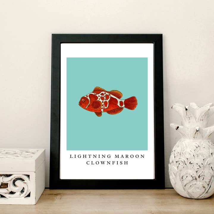 Maroon Clown Minimalist Art Print, Coastal Beach Aesthetic for wholesale by Fins and Frags
