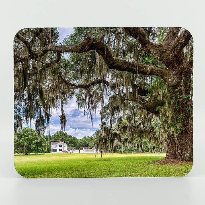 Mouse Pad-Hofwyl-Broadfield Plantation for wholesale by Mike Ring Photography